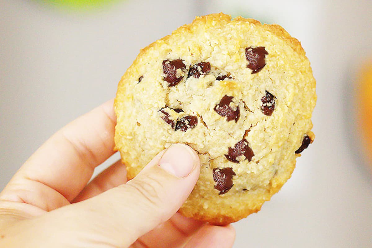 holding a chocolate chip cookie