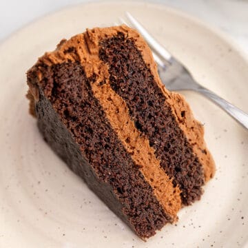 keto chocolate cake on a white plate