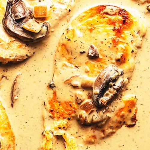 chicken stroganoff with mushrooms