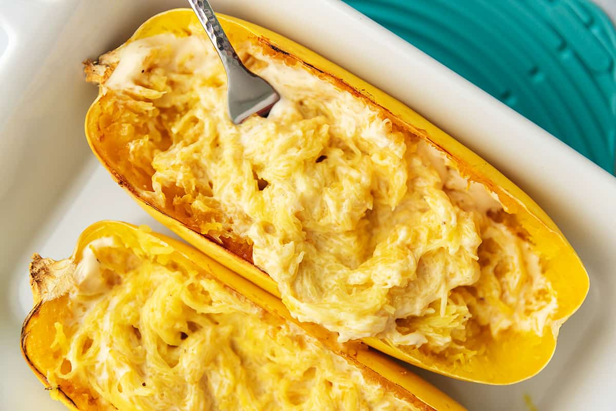 keto spaghetti squash Alfredo