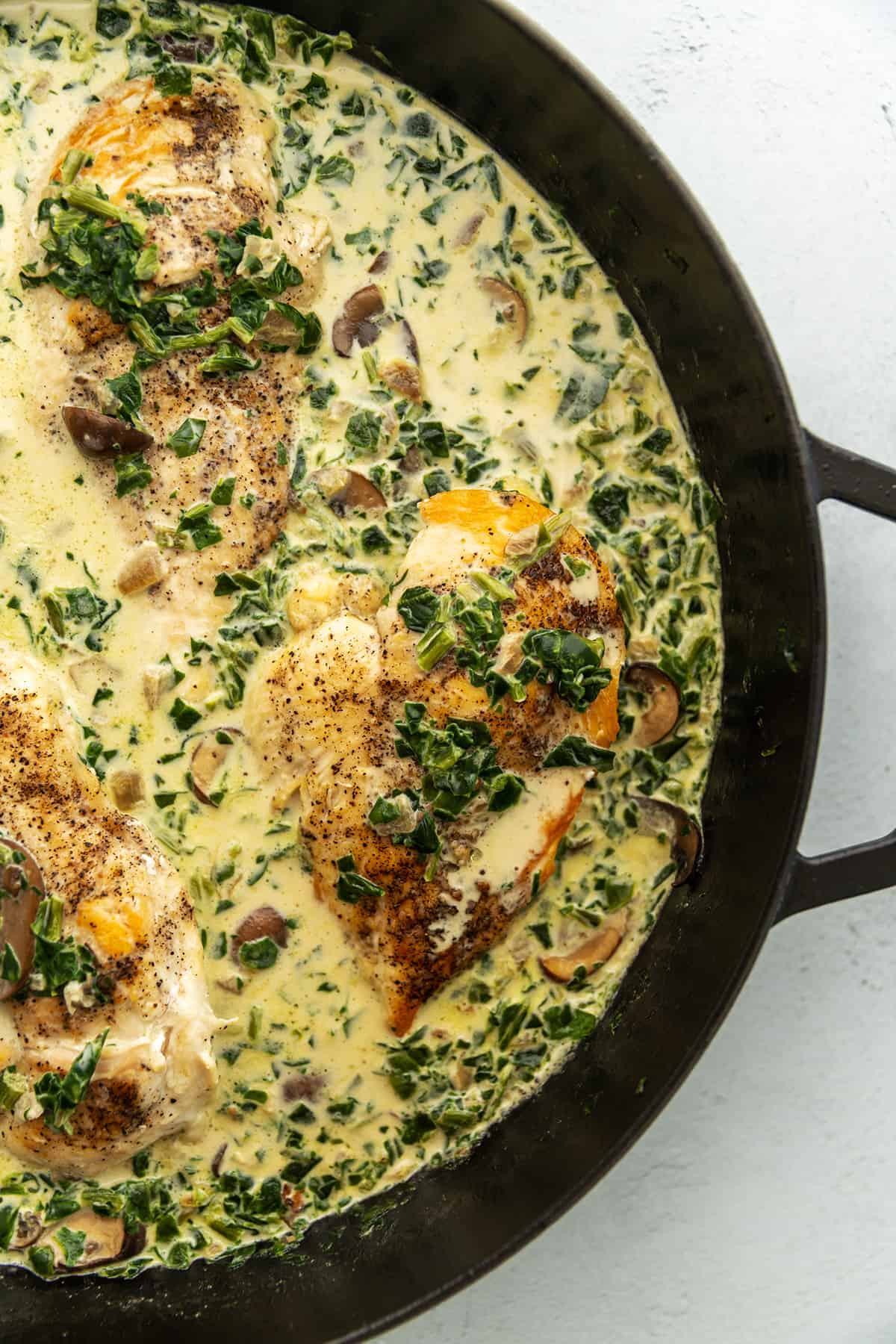 a black skillet with chicken and a creamy sauce