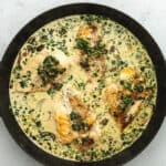 cooked chicken Florentine