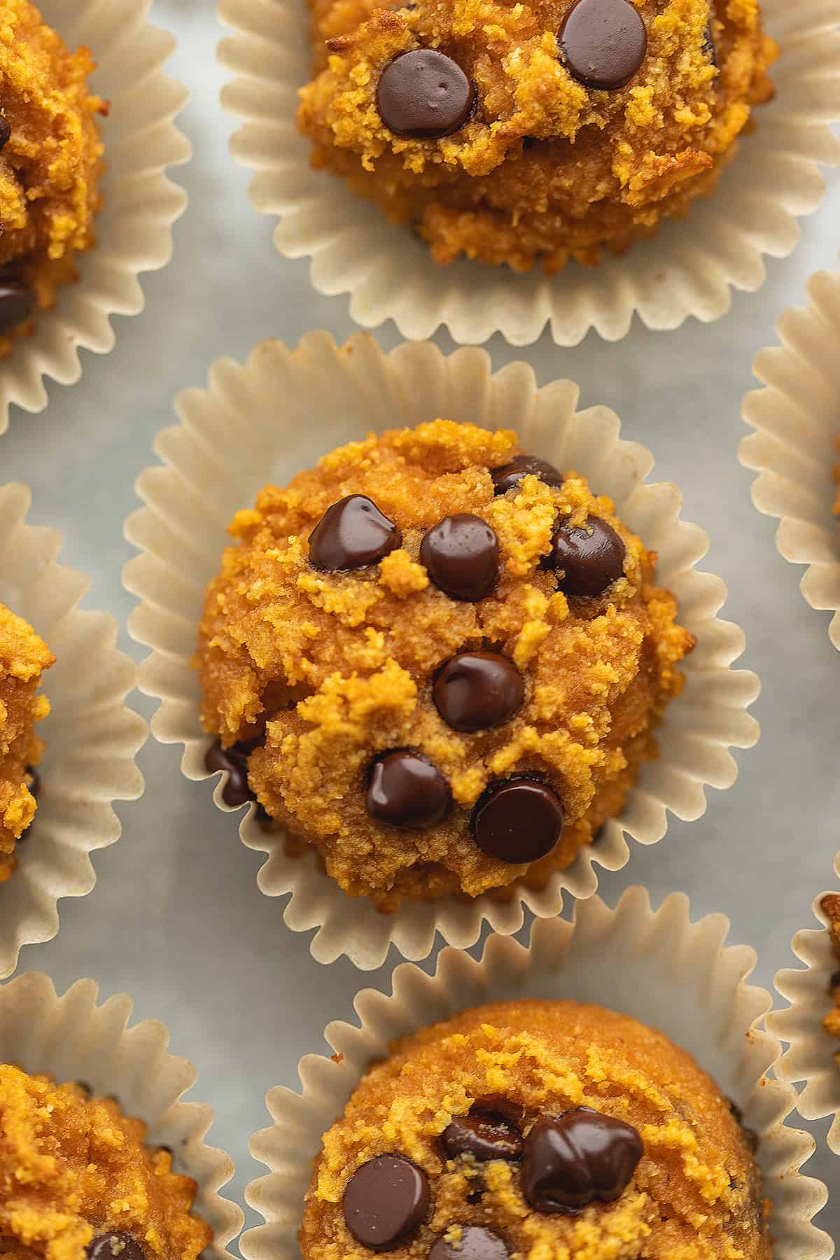 keto chocolate chip pumpkin muffins on a tray