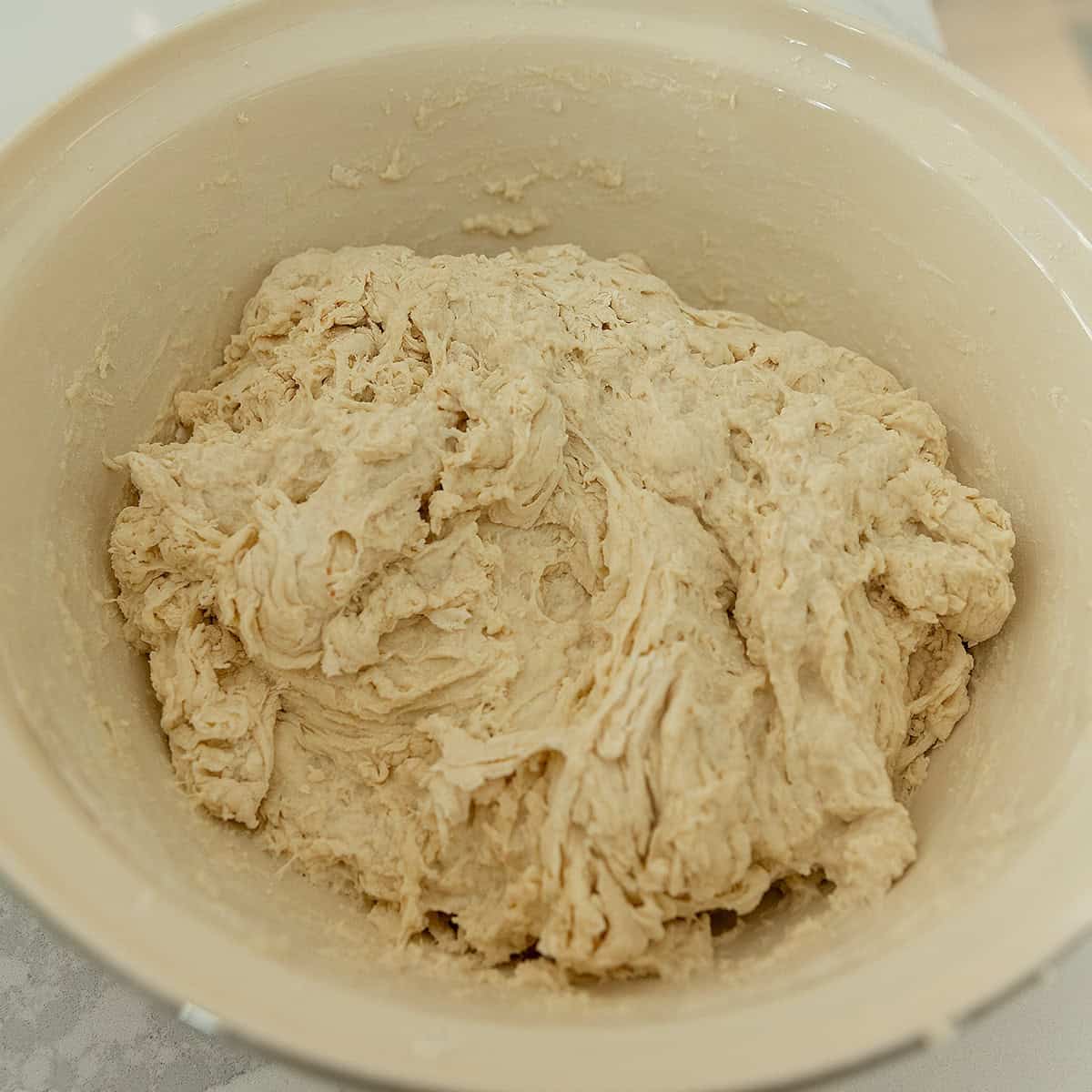 sourdough shaggy dough