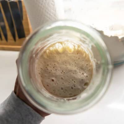 sourdough starter in a glass jar