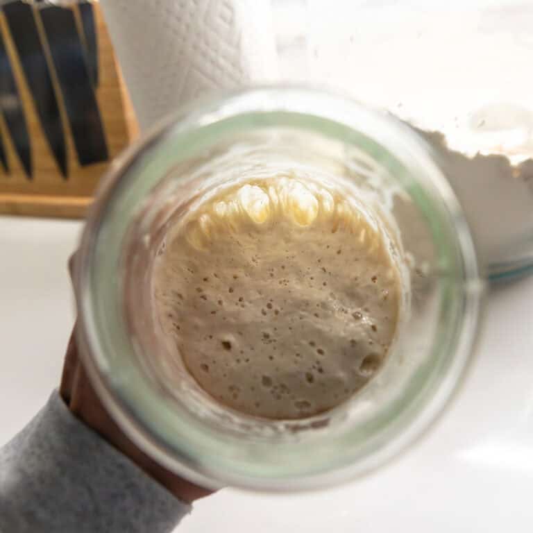 sourdough starter in a glass jar